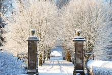 Click to view pictures