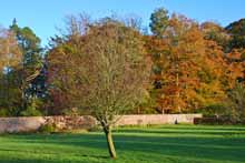 Click to view pictures