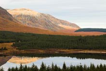 Click to view pictures