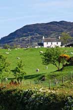 Click to view pictures